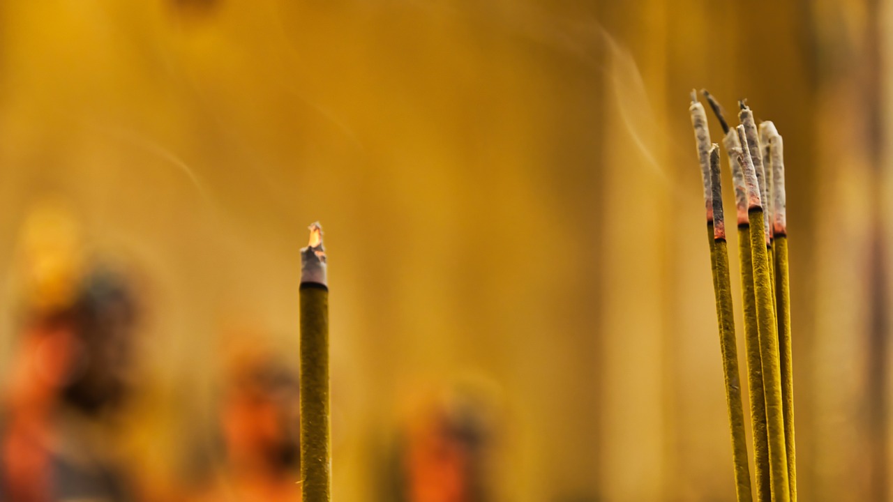 沅陵一中最新动态速递