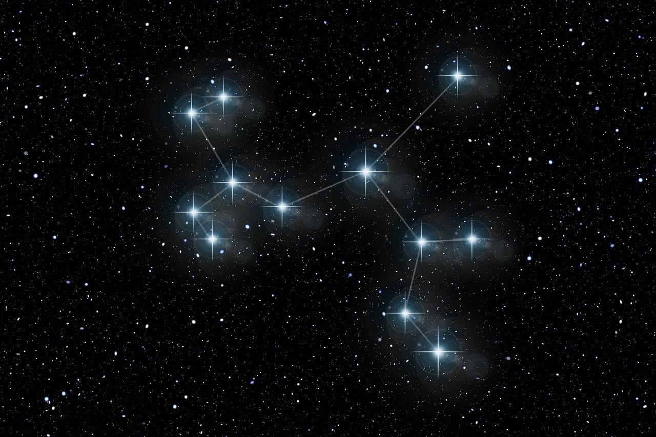 明星同乐会毛宁专场，星光熠熠之夜