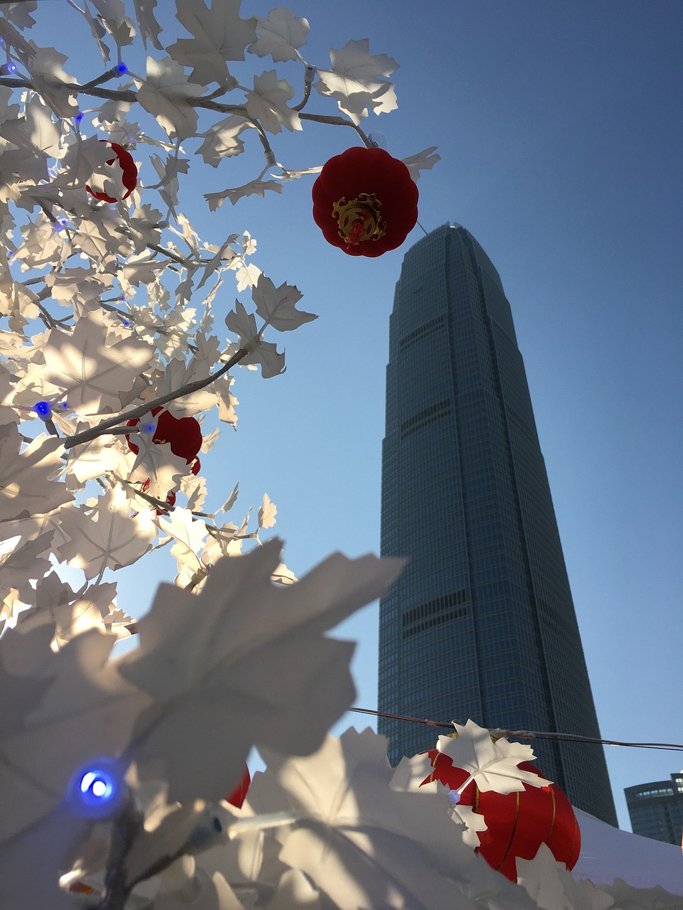 暗影新篇，未知深渊的探索之旅