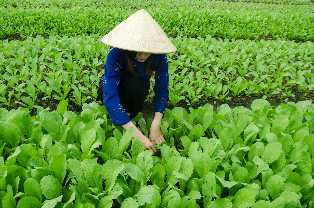 云南怒江最新动态，发展与保护的和谐共鸣