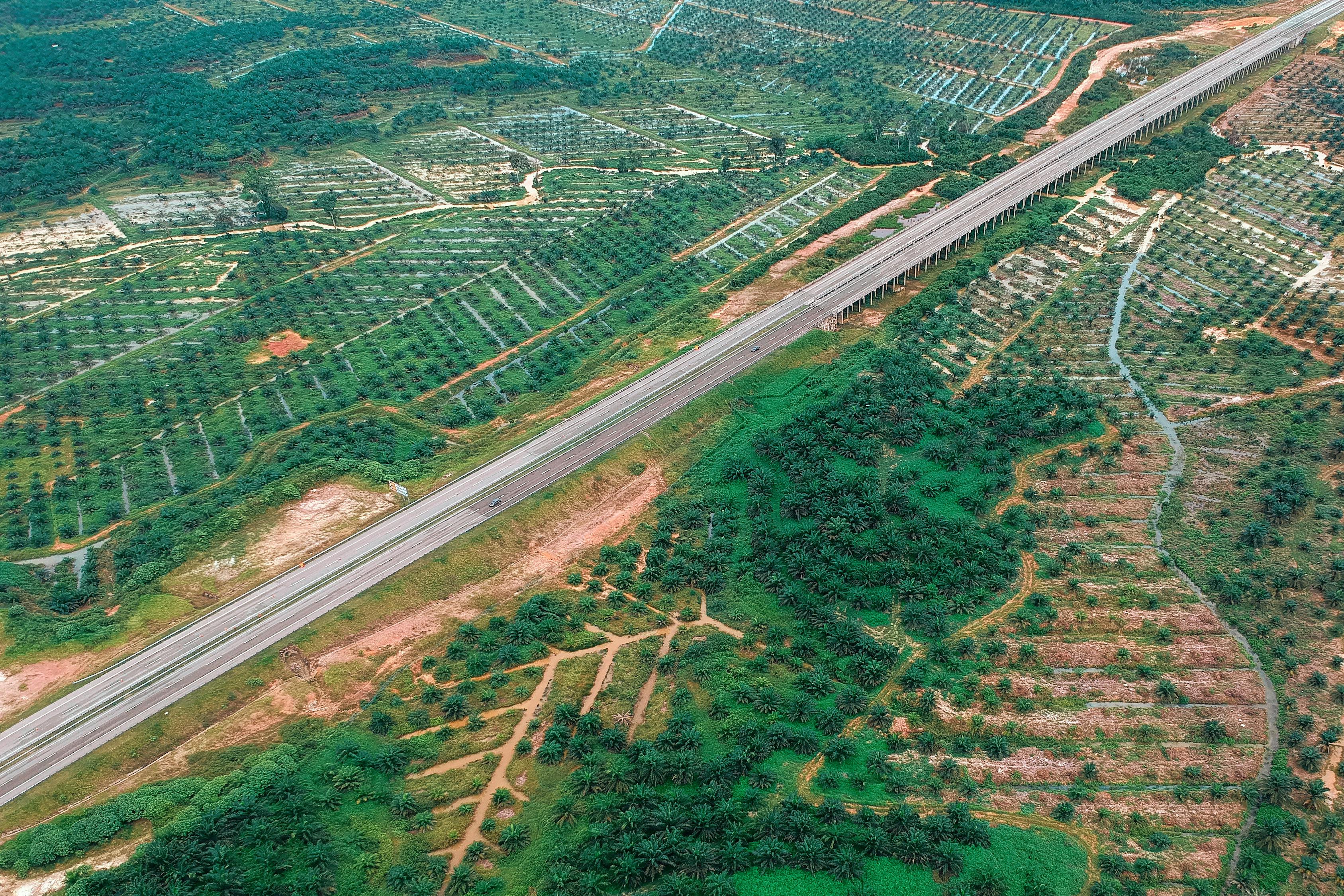 新野公路规划图，构建现代化交通网络的战略规划蓝图