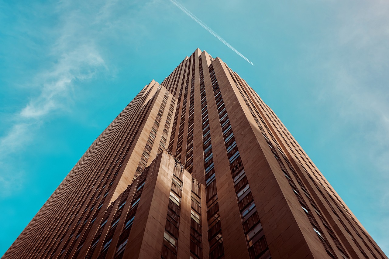 最新楼顶鸽棚搭建图，优雅舒适的鸟类栖息地建设指南
