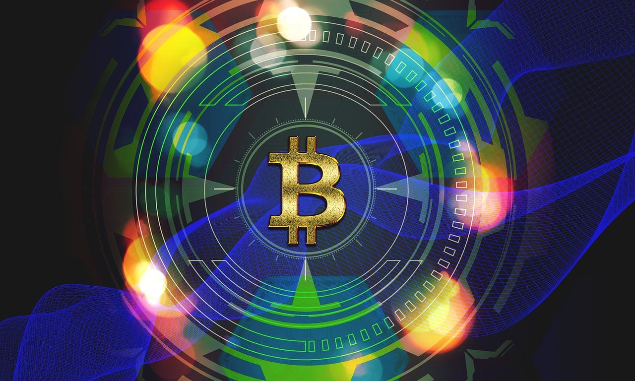 托卡世界完整版最新版，探索虚拟世界的无限魅力