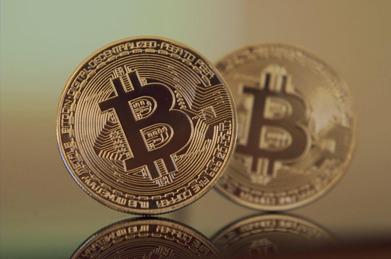 二羊纪念币的现价、收藏价值与投资前景分析