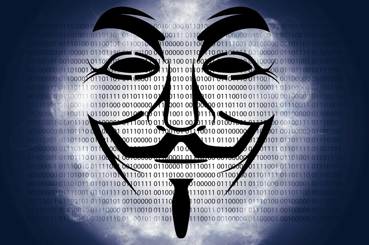 沈永鹏最新动态，迈向未来的步伐与决策揭秘