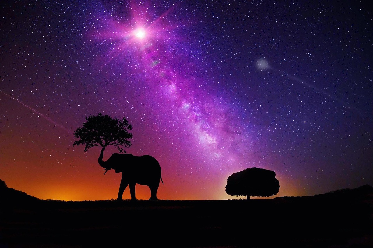 明星璀璨之夜，光彩与魅力的盛宴