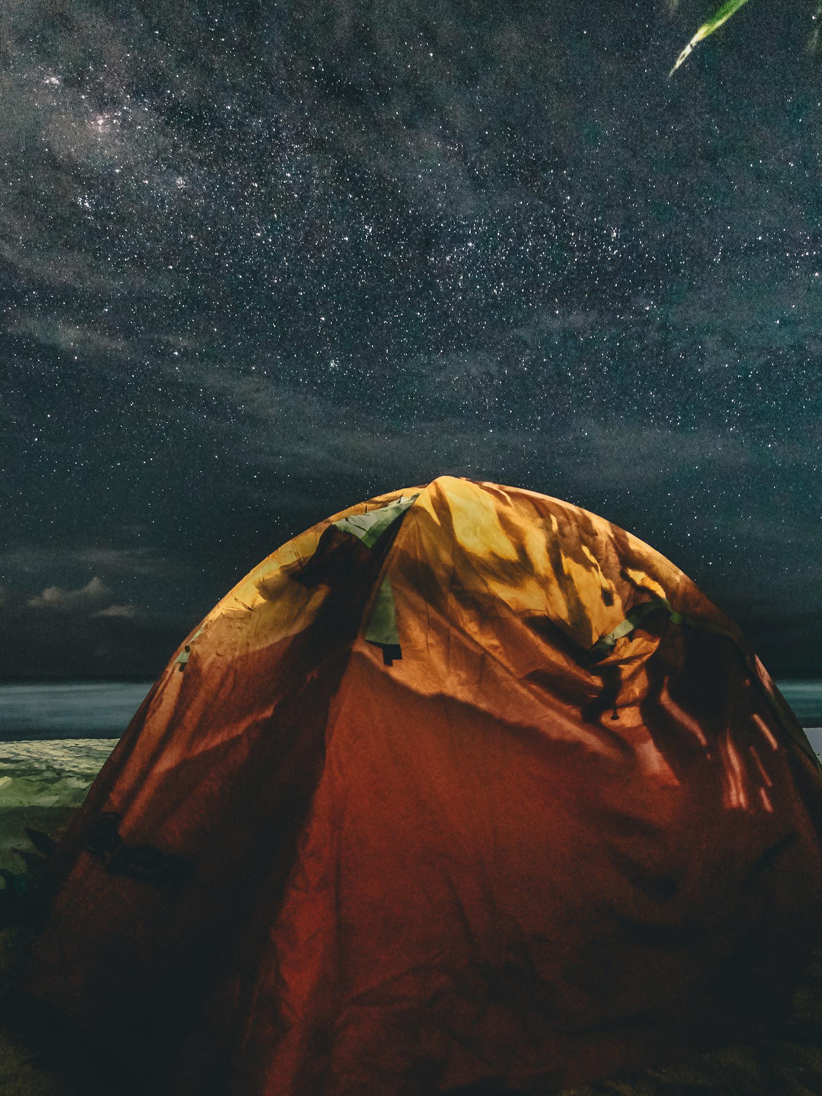 星级猎人最新篇章，探索未知，超越极限的挑战之旅
