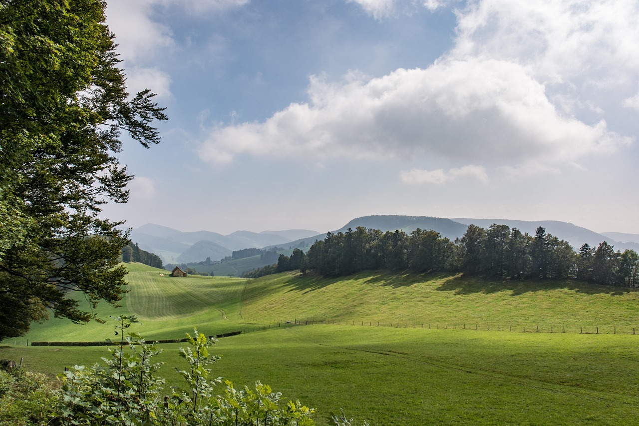 顾村最新风景图，自然之美的绝佳探索地