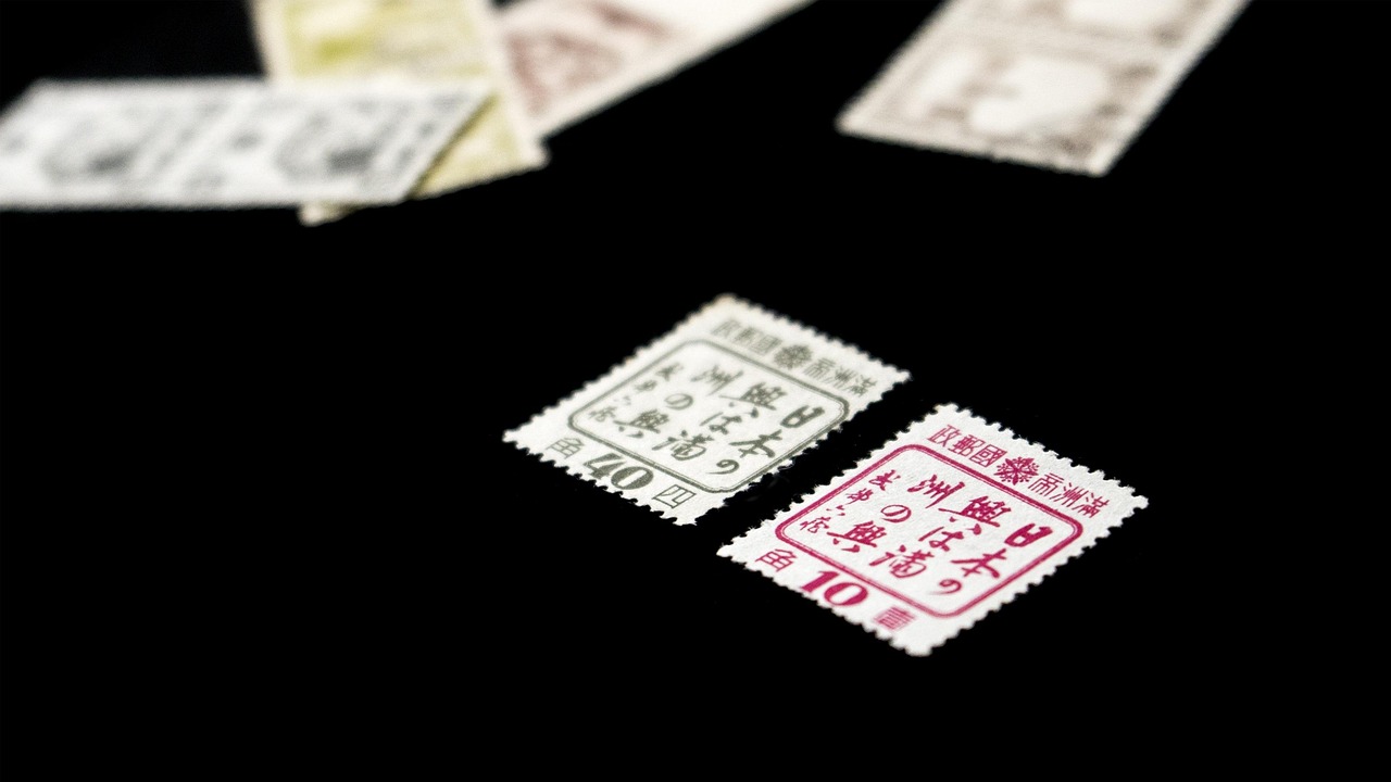 最新扣字词汇文本探索，网络文化的语言魅力