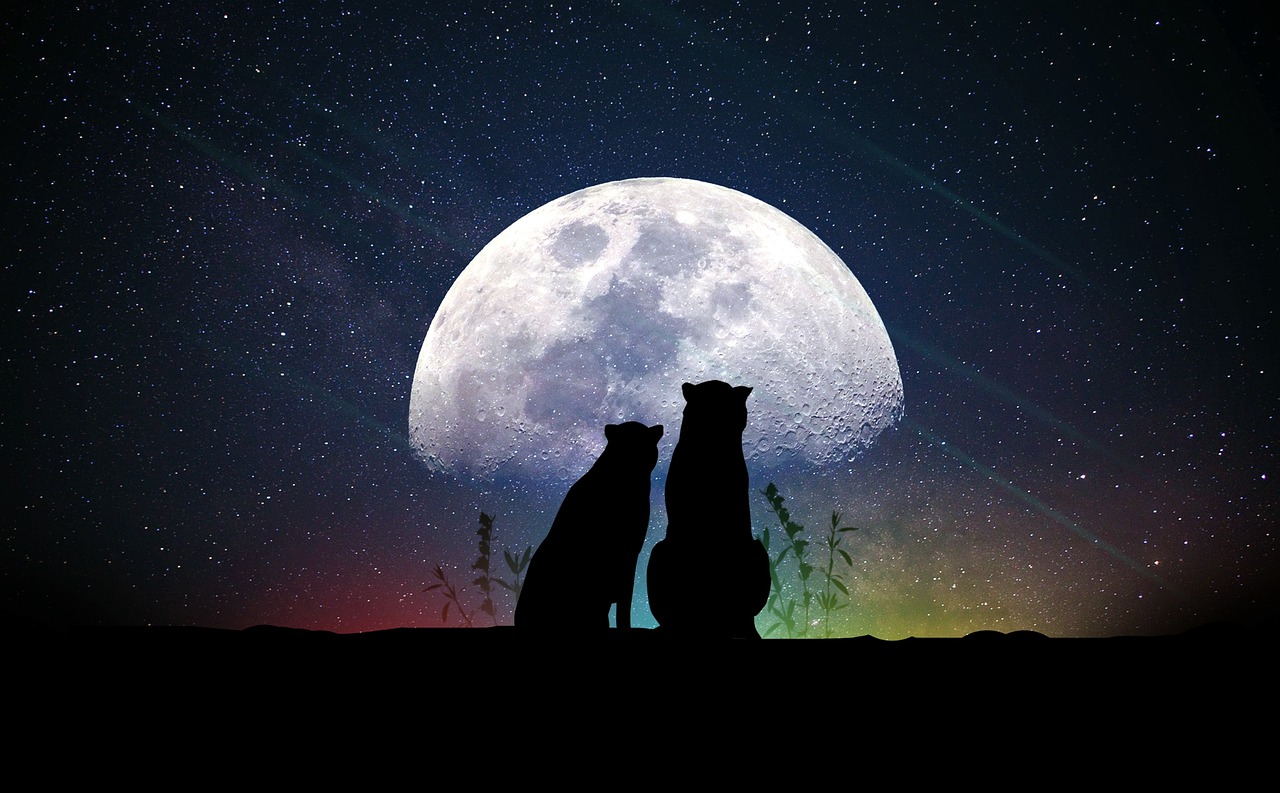 深夜情感与奇幻世界的探索，热恋动漫