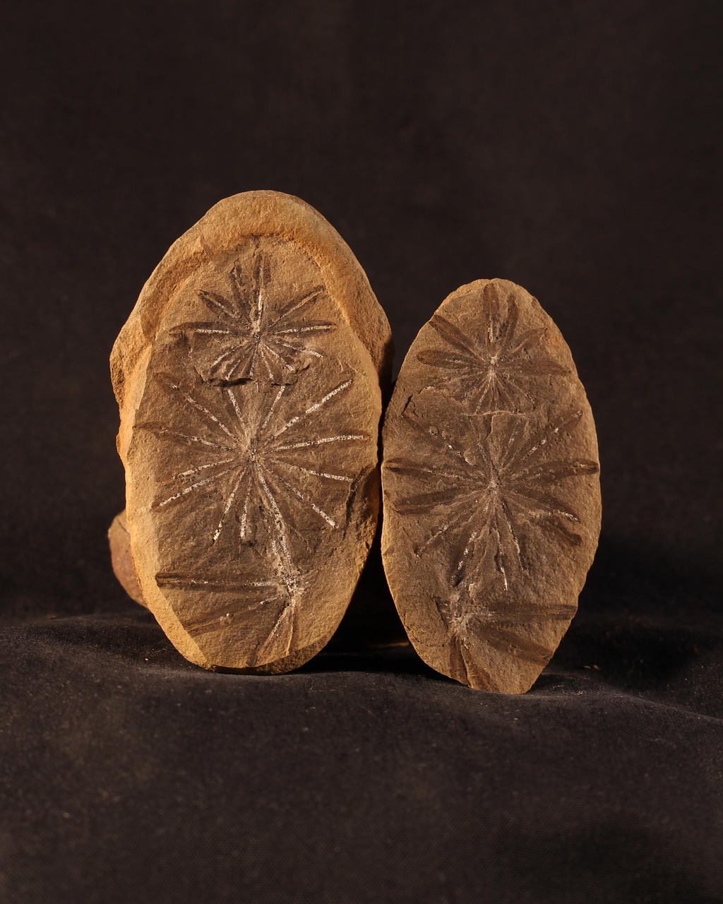 探索最新药物在治疗肝内胆管结石领域的应用与研究进展