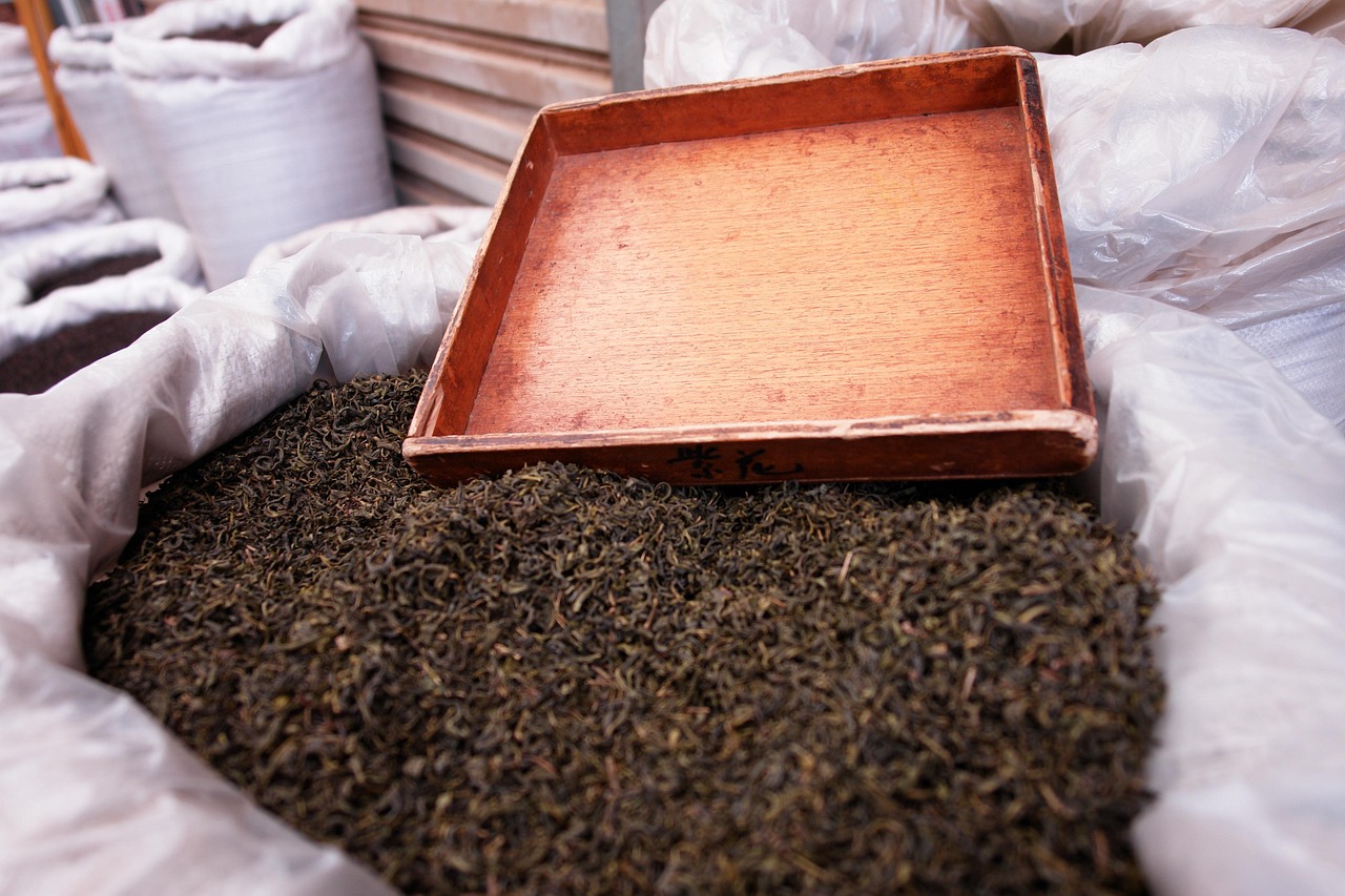 范丞丞持续闪耀，近期动态展现不断突破自我之路