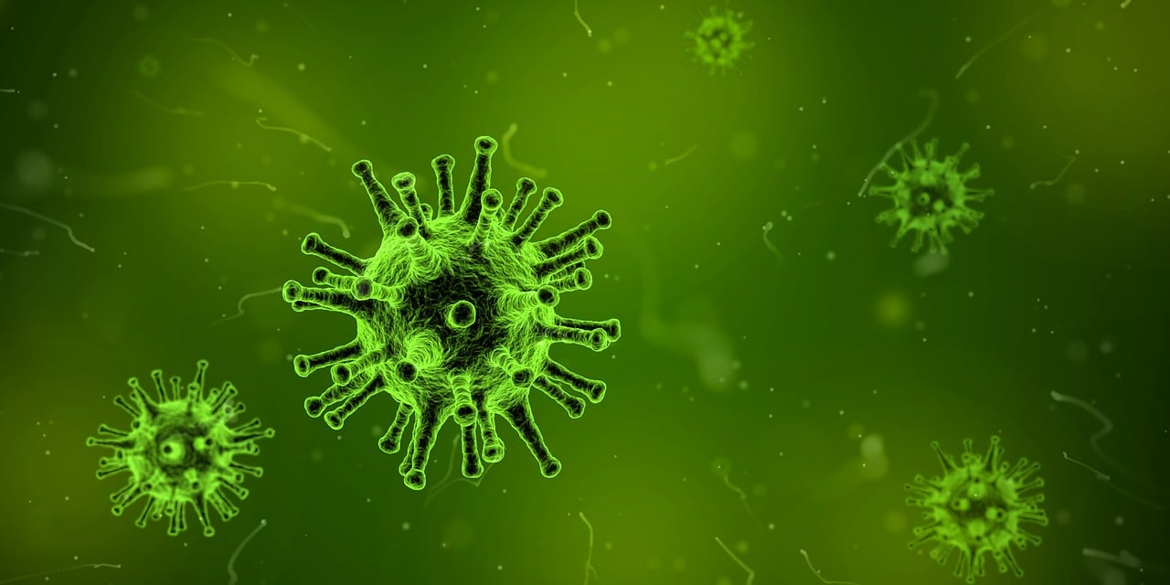 五月H7N9病毒感染与死亡病例最新报道分析
