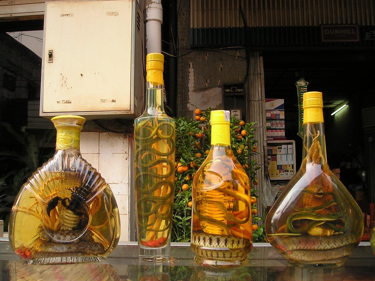 探寻五月稻花香酒42度价格魅力