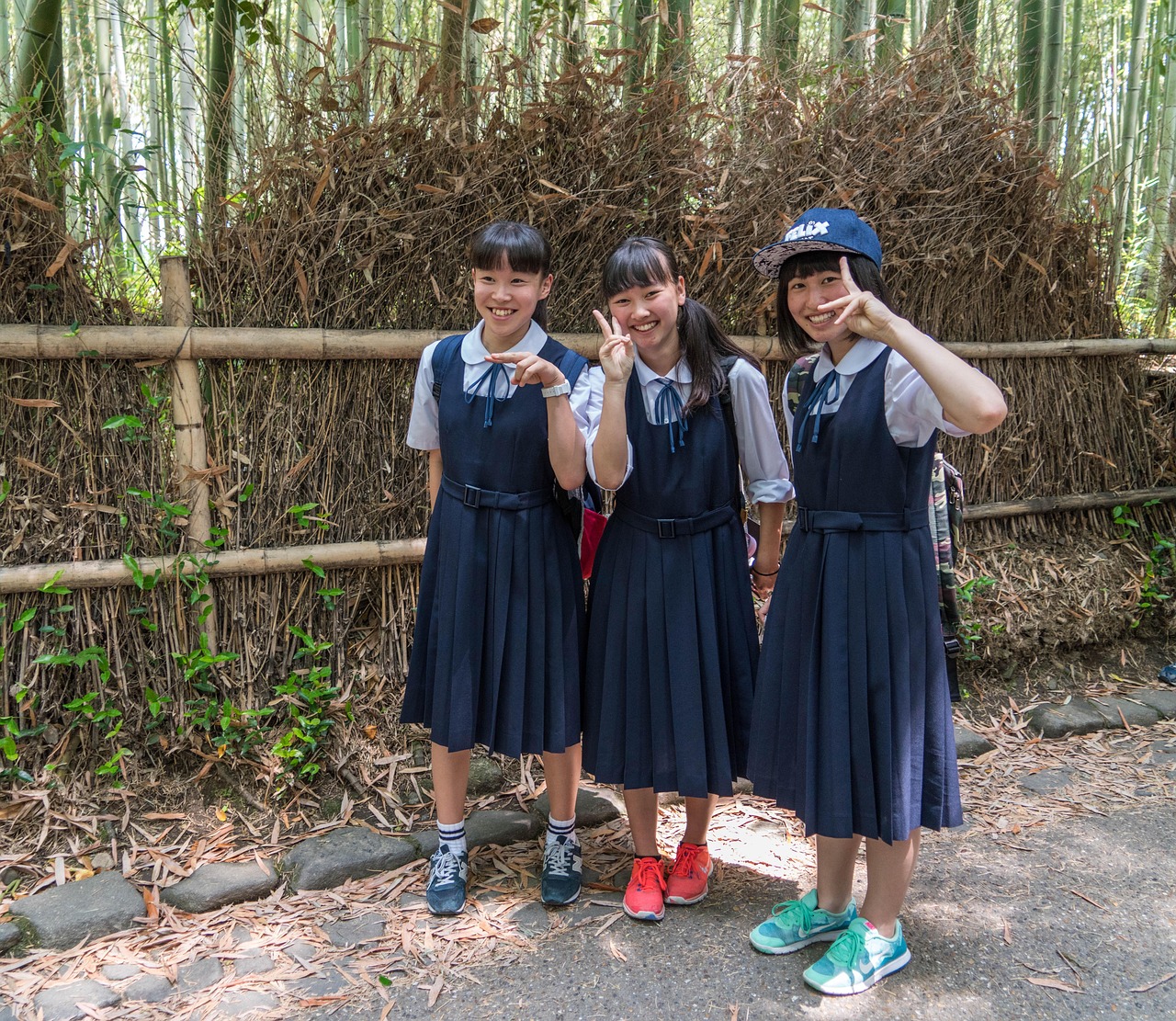 五月水中花电视剧全集，绽放与感悟之旅